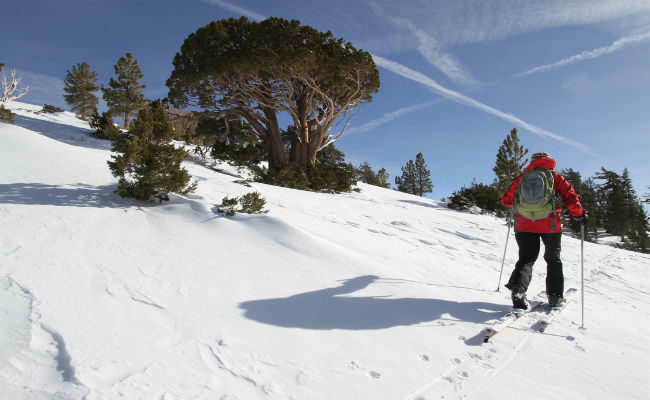 Consejos para hacer Skimo