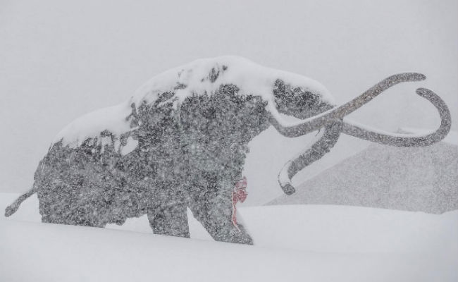 California bate su record en metros de nieve