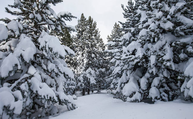 Grandvalira